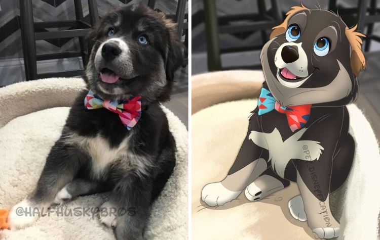 02-11-11-1644480703791060505