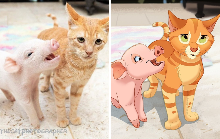 02-11-11-16444807041027123756