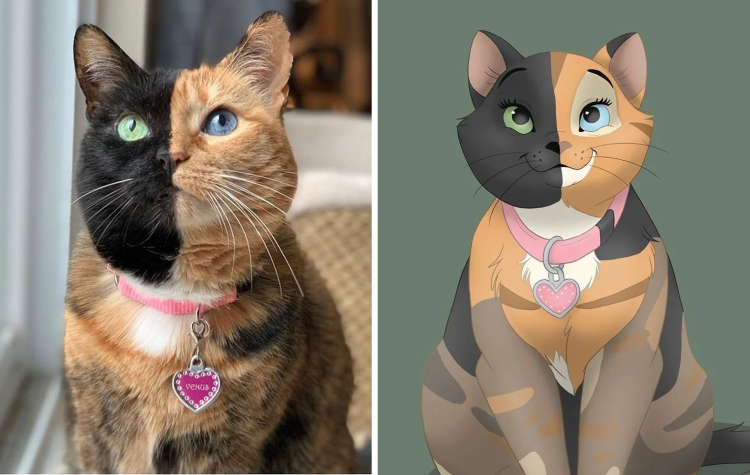 02-11-11-16444807056974957