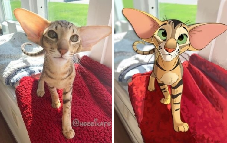 02-11-11-1644480706685488454