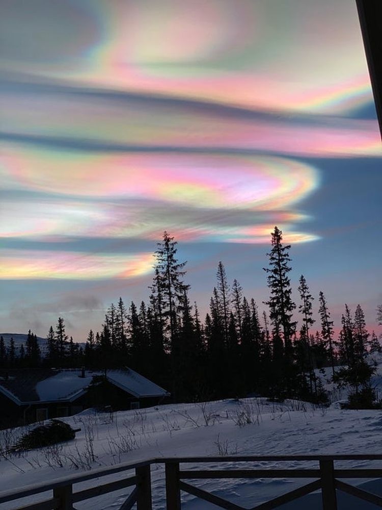 02-11-46-16460379731738902780