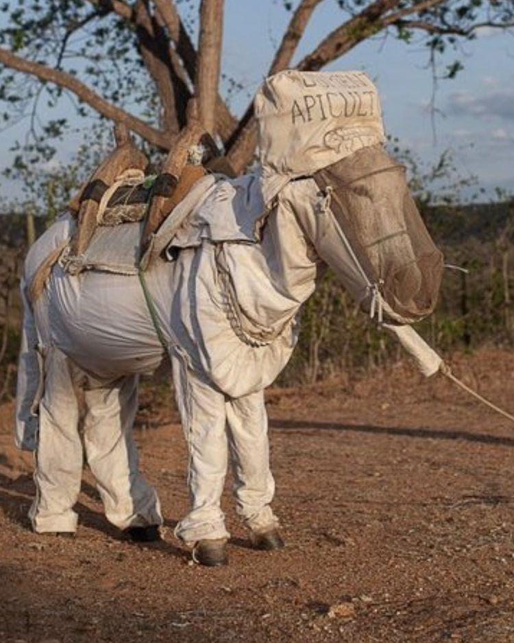 02-11-46-16460379921018503831