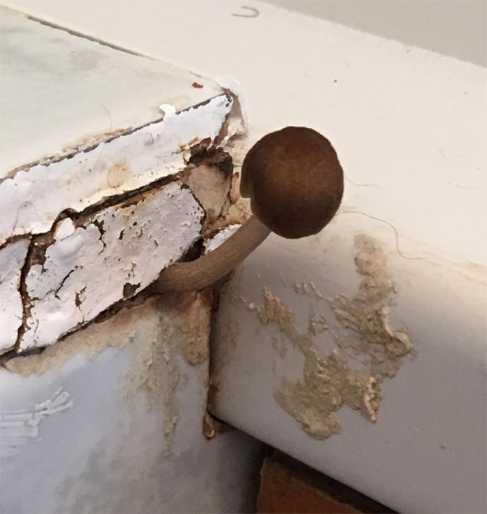 02-11-57-16437058761918922276