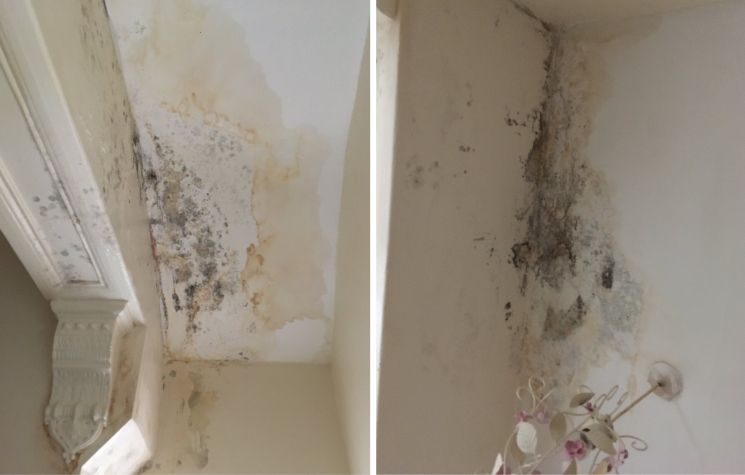 02-11-57-16437058791273663847