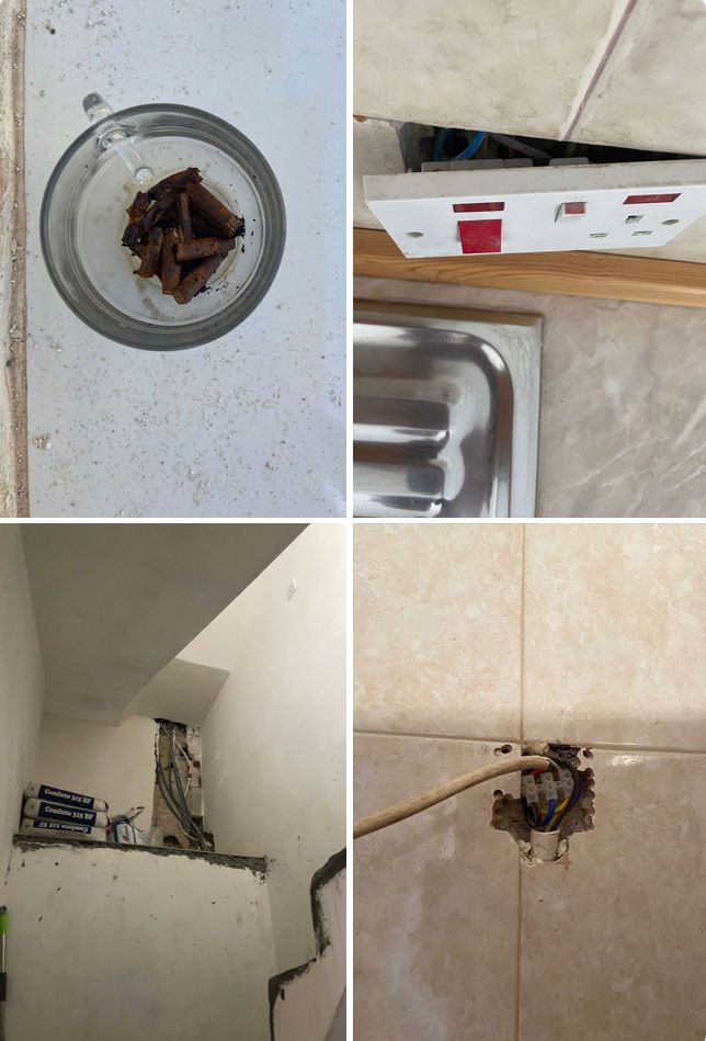 02-11-58-16437059211900786291