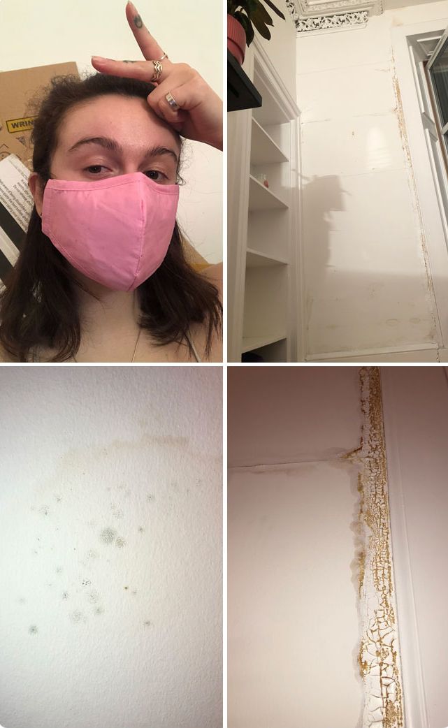 02-11-58-164370593124568267