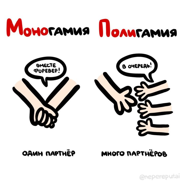 02-11-59-16437923891395221406