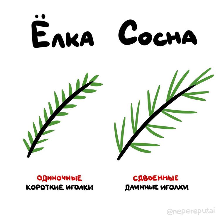 02-12-00-1643792413527196006