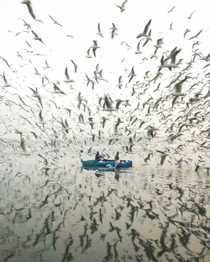 02-12-17-16457806701381581095