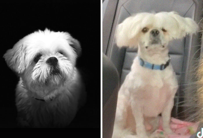 02-12-19-1644398351981136694