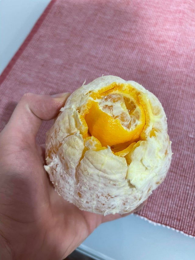 02-12-21-16449169011750450146