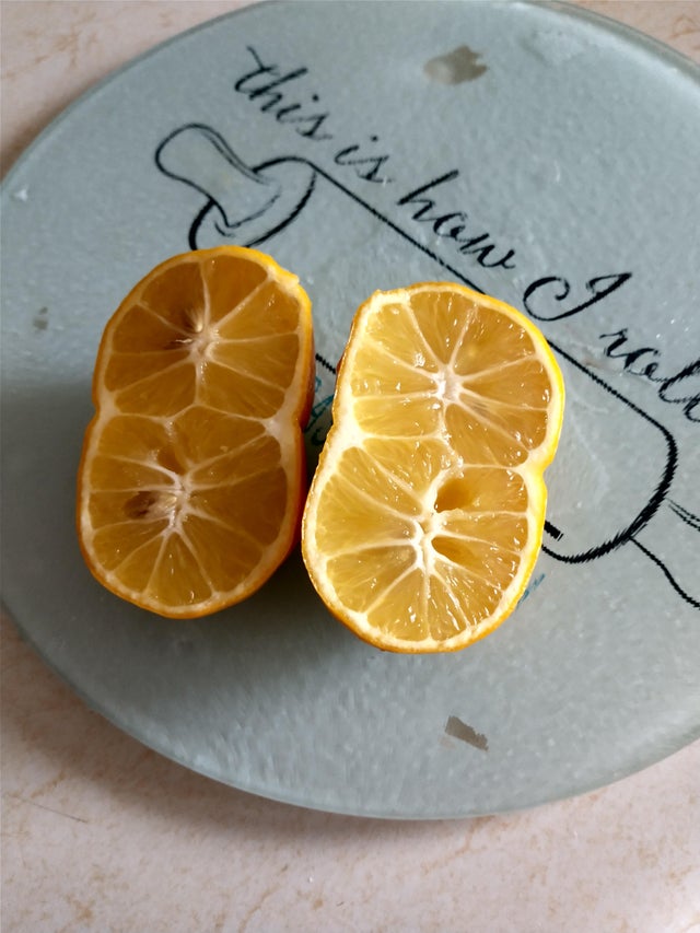 02-12-22-1644916936222089269