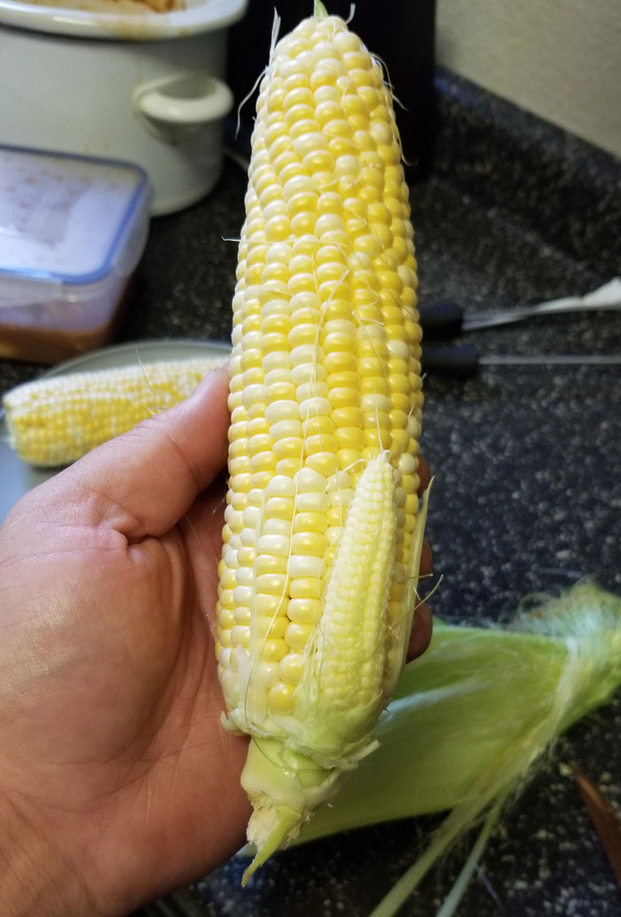 02-12-22-16449169581238511718