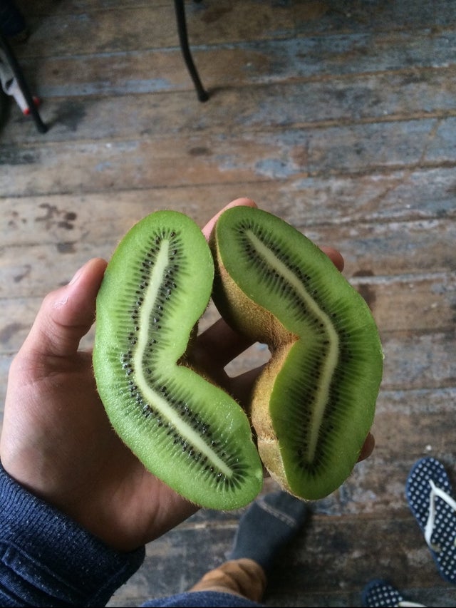 02-12-22-16449169581486890774