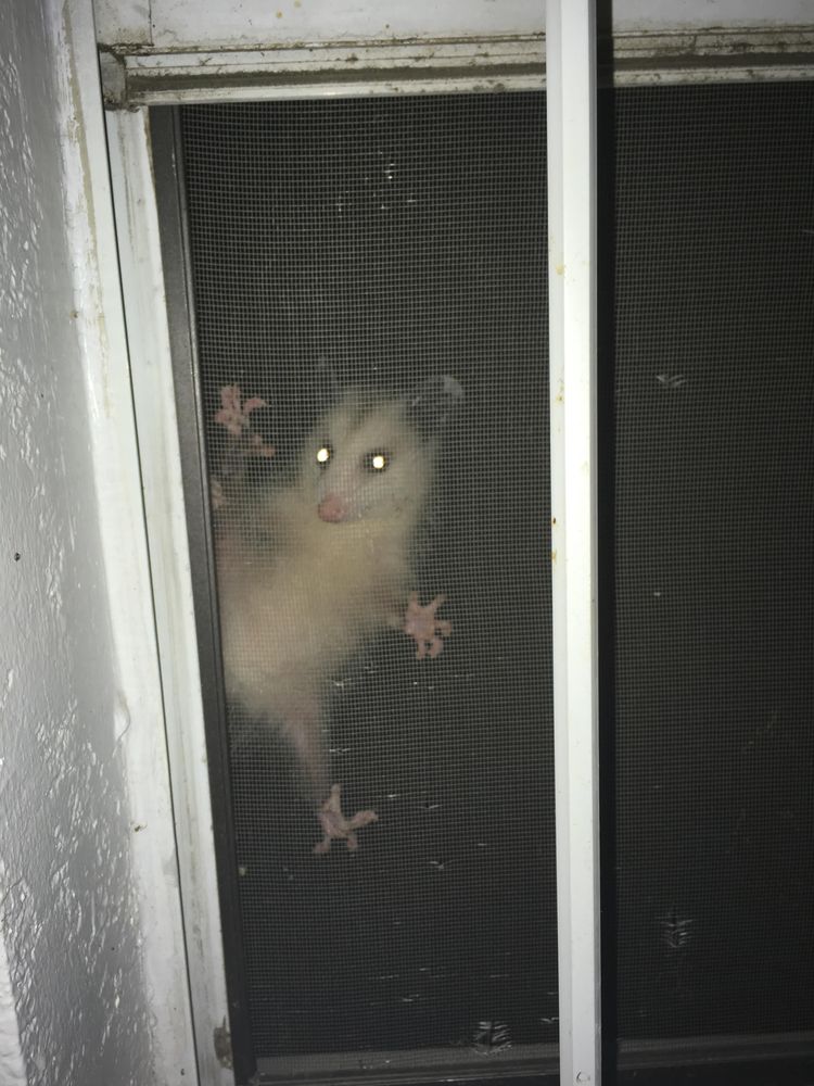 02-12-38-1644485896929267072