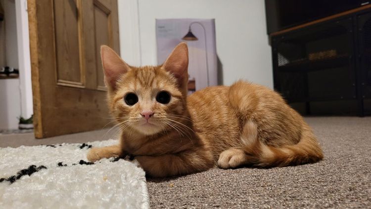 02-12-38-16444859151525972394