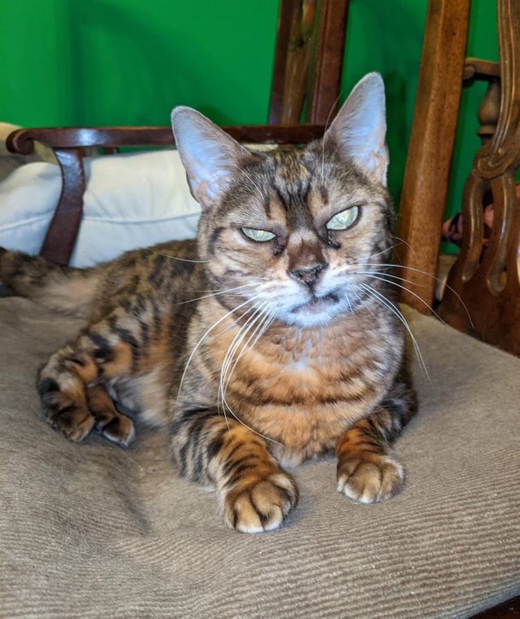 02-12-38-16444859381029784754