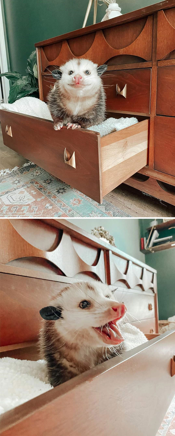 02-13-45-1644403515307139916