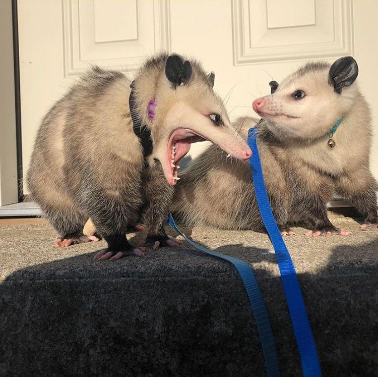 02-13-45-16444035311630927664