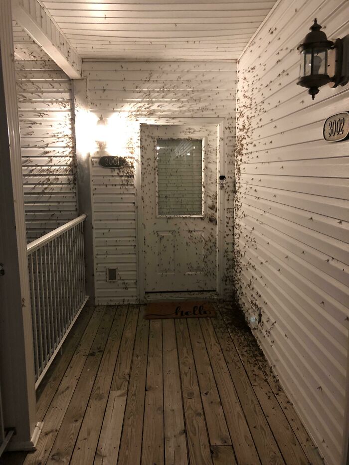 02-14-03-16460461832142920910