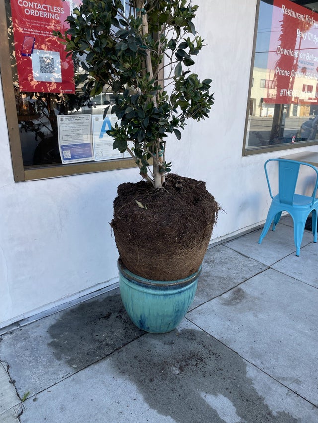 02-14-09-16439729692005523446