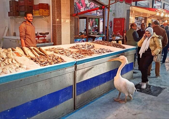 02-14-13-16451828251957411407