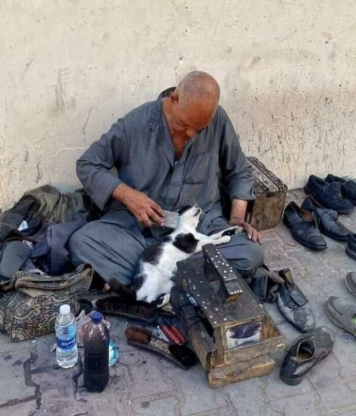 02-14-14-1645182880573727612