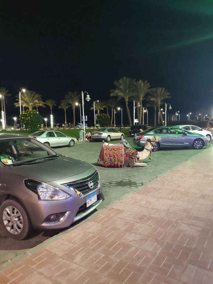 02-14-14-16451828951416210743