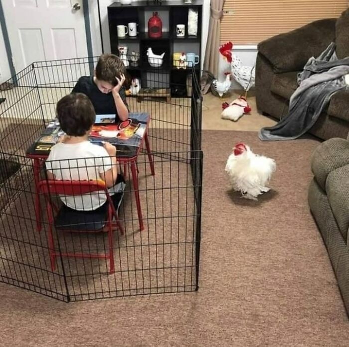 02-14-17-16438870291473265564