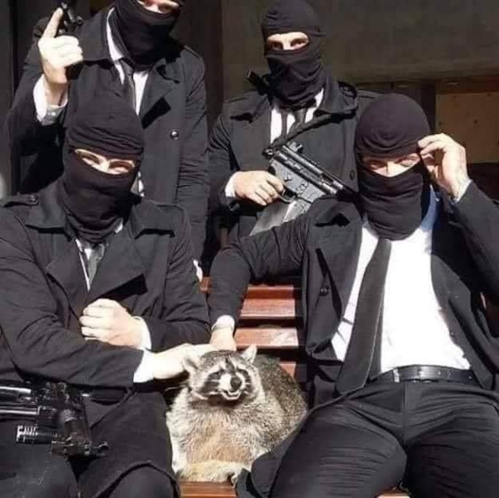 02-14-17-16438870441394493361