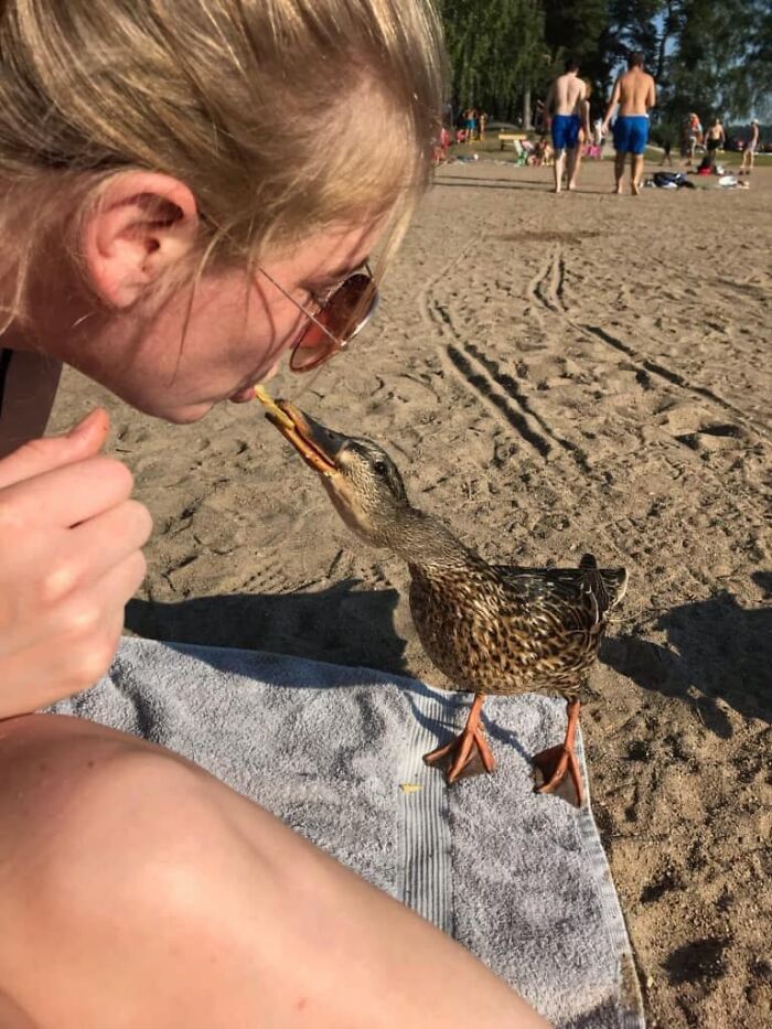 02-14-17-16438870471978123070