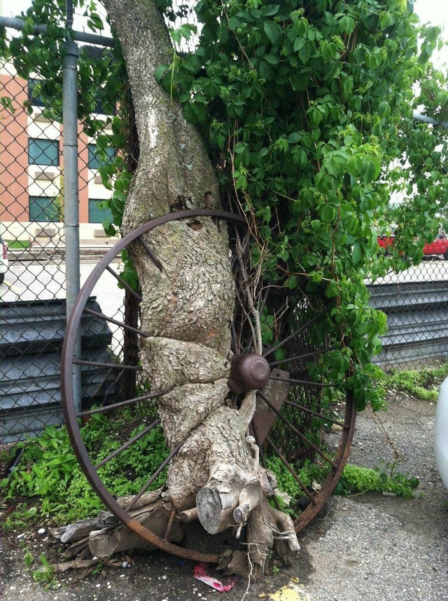 02-14-42-16442341511539257918