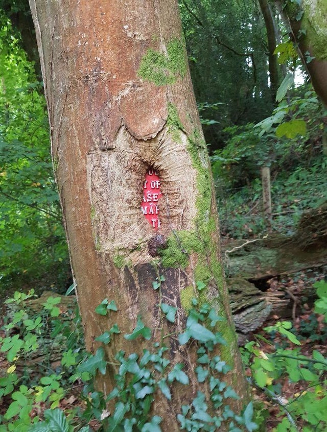 02-14-42-1644234157673406764