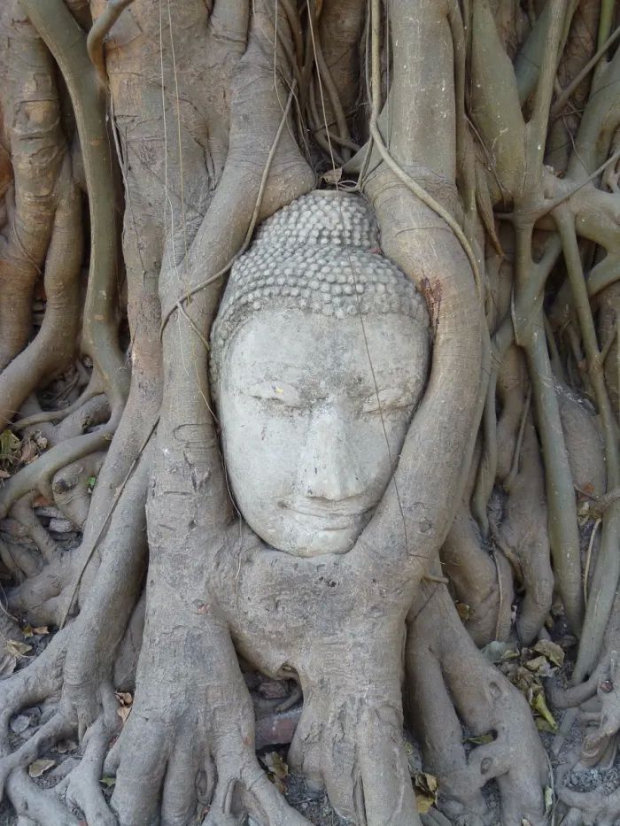 02-14-42-16442341611015453763