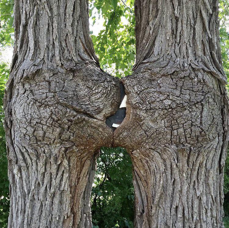 02-14-42-1644234164231029002