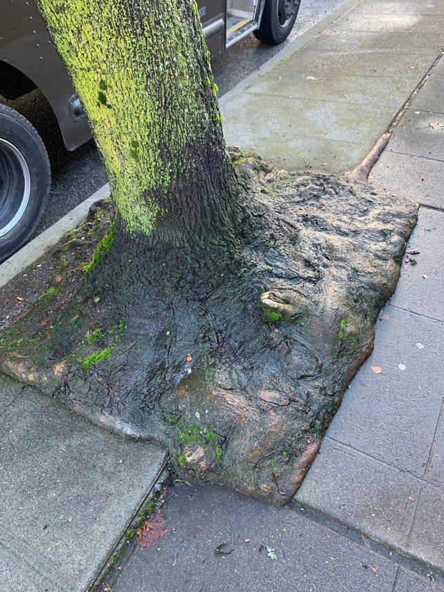 02-14-42-16442341671107777832