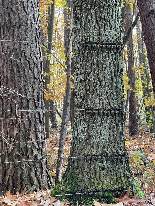 02-14-42-164423417895936786