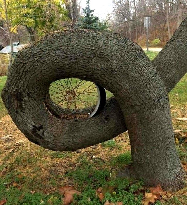 02-14-43-1644234183458035459