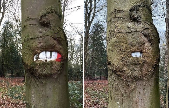 02-14-43-1644234195283825199