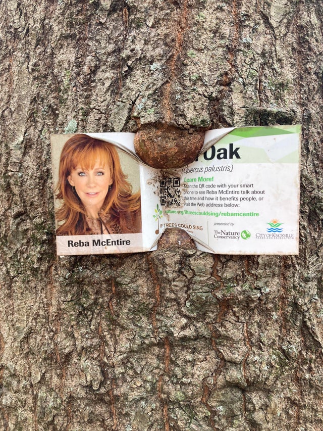 02-14-43-1644234204193987051