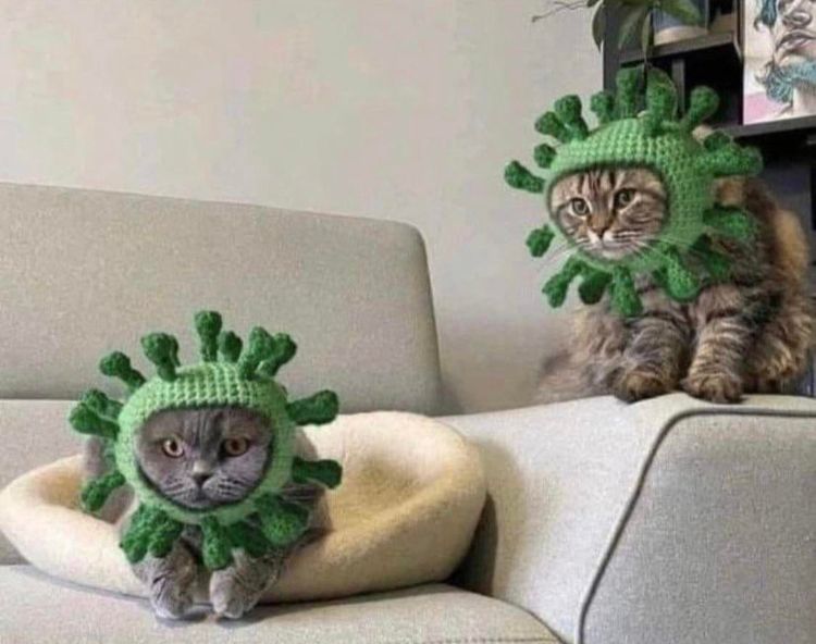 02-15-03-16457042301419049966