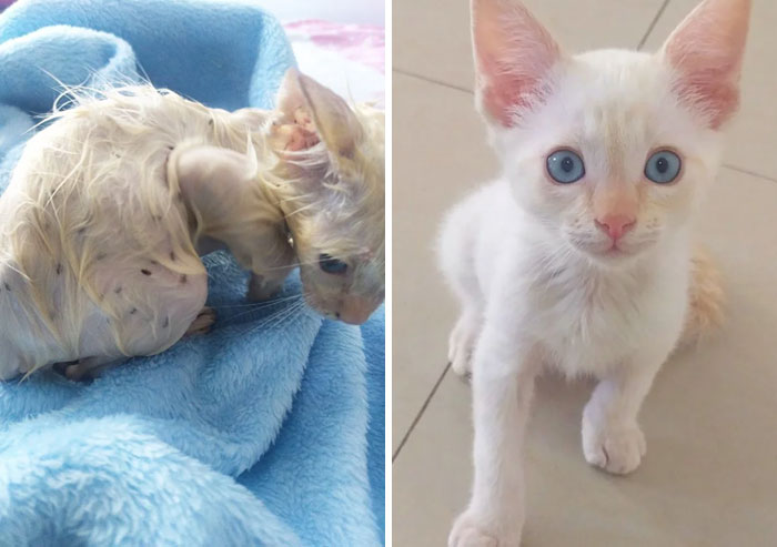 02-15-21-1643977300118838051