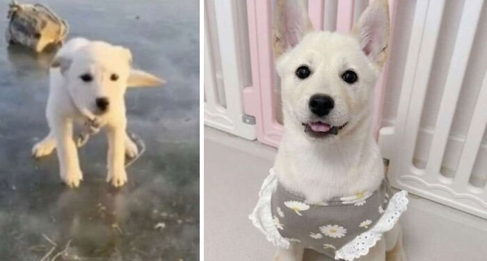 02-15-21-16439773031752200846