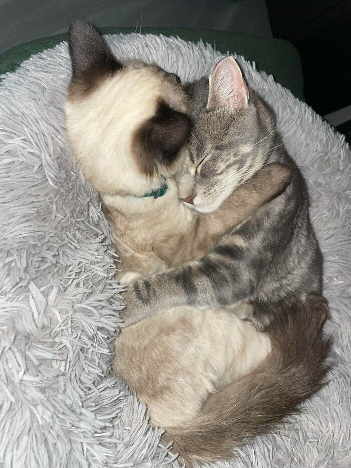 02-15-21-1643977306175458967