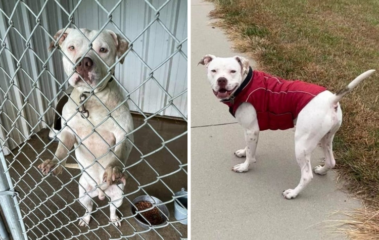 02-15-21-16439773102141204953