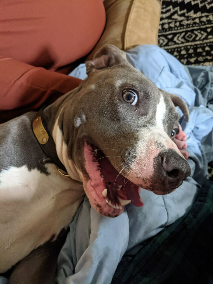 02-15-22-1643977326789840396