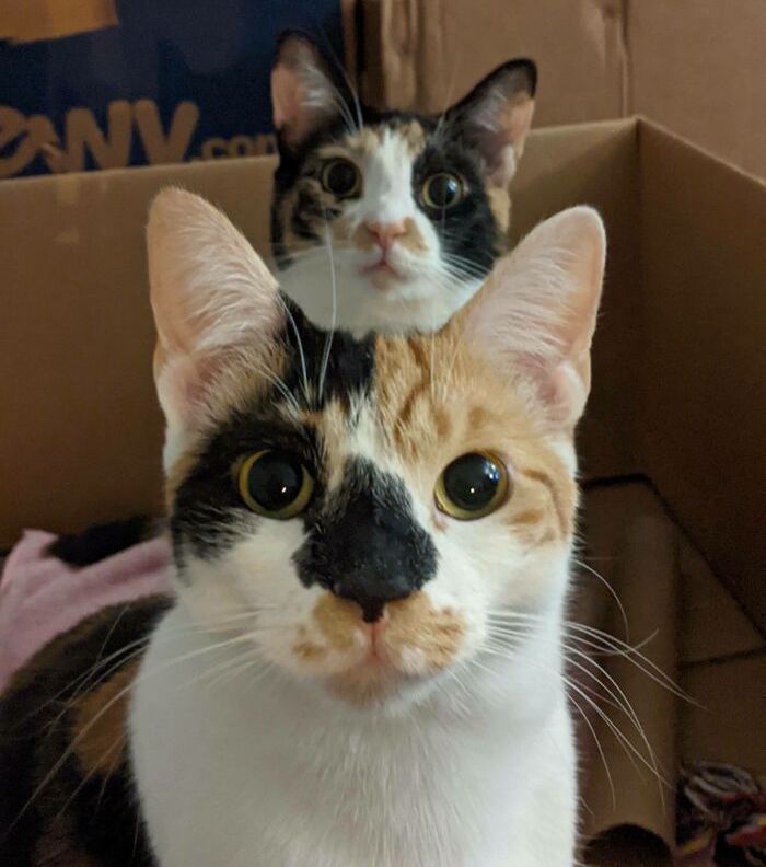 02-15-22-16439773321713684331