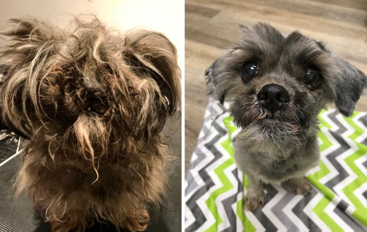 02-15-22-16439773362105375923