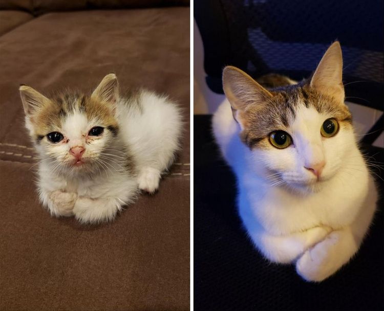 02-15-22-164397734633705466