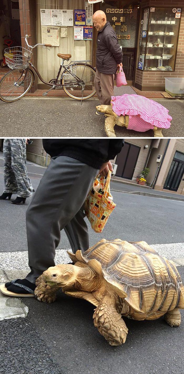 02-15-30-16438914041120053922